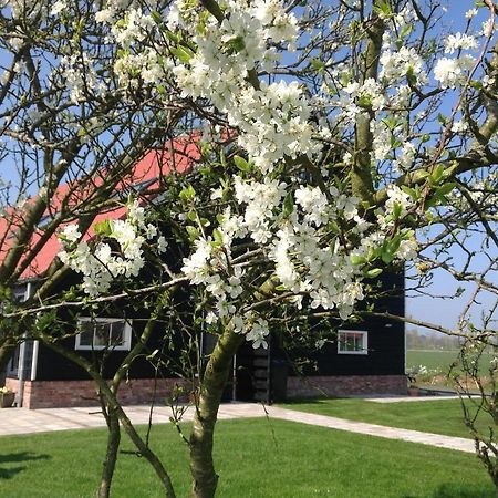 Apartamento Hofwestdijk Vrouwenpolder Exterior foto