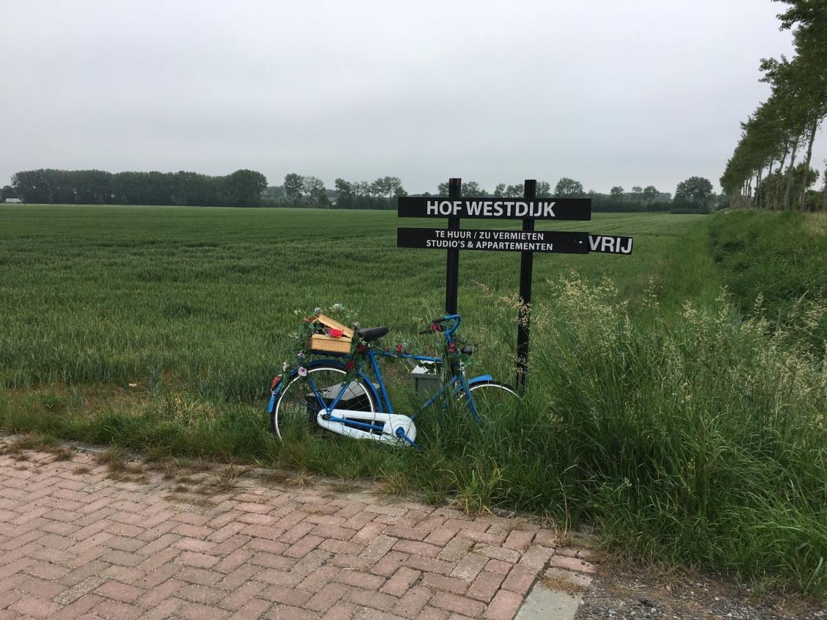 Apartamento Hofwestdijk Vrouwenpolder Exterior foto