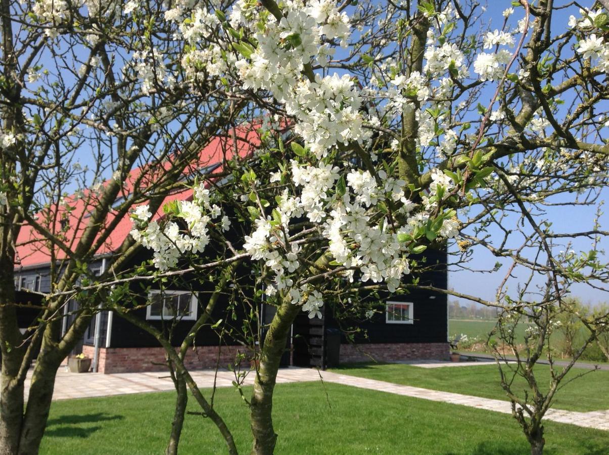 Apartamento Hofwestdijk Vrouwenpolder Exterior foto